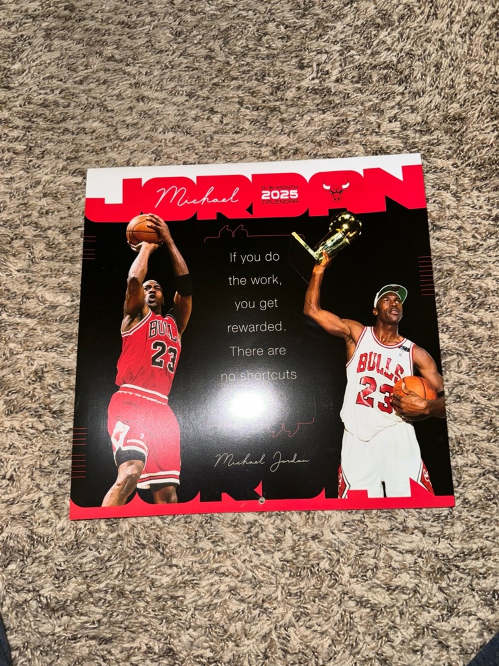 NWT Michael Jordan 2025 Poster - Red, Black, White